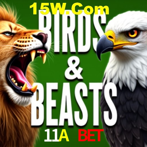 Apostas Esportivas na 11A Bet: Um Guia Completo